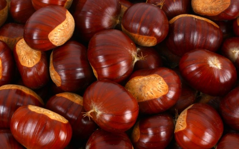 Как спасти дом от моли