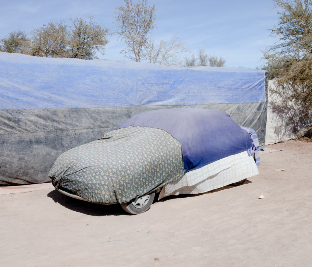 Сухой закон: как последние обитатели пустыни Атакама выживают без «права на воду» Сухой закон: как последние обитатели пустыни Атакама выживают без «права на воду» мир,фотография