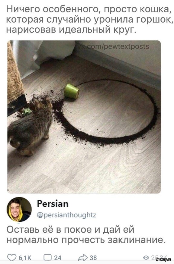 Комментарии и юмор с просторов сети  смешные картинки