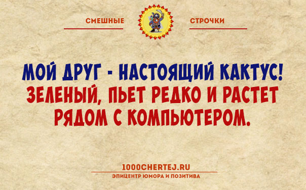 Если черная кошка перебежала дорогу в Москве, то ей крупно повезло анекдоты,веселые картинки,приколы,Хохмы-байки,юмор