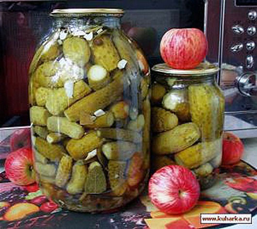 Больше, чем еда… 