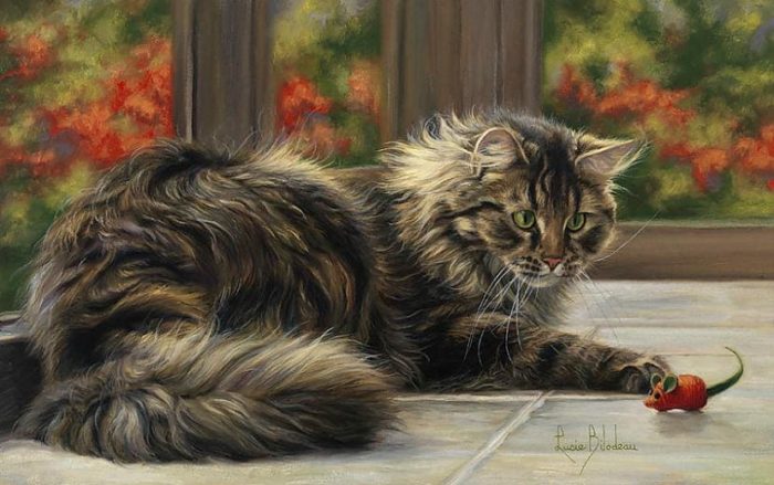 Художник Lucie Bilodeau. Пушистый живой генератор уюта