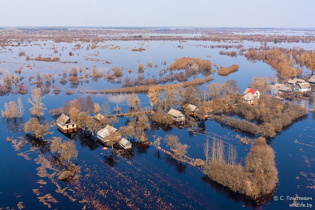 Белорусская «Амазония» удивила иностранцев заграница,путешествие,туризм