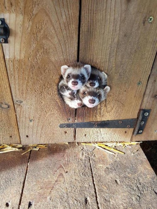 Новые прикольные картинки и фото Новые прикольные картинки и фото