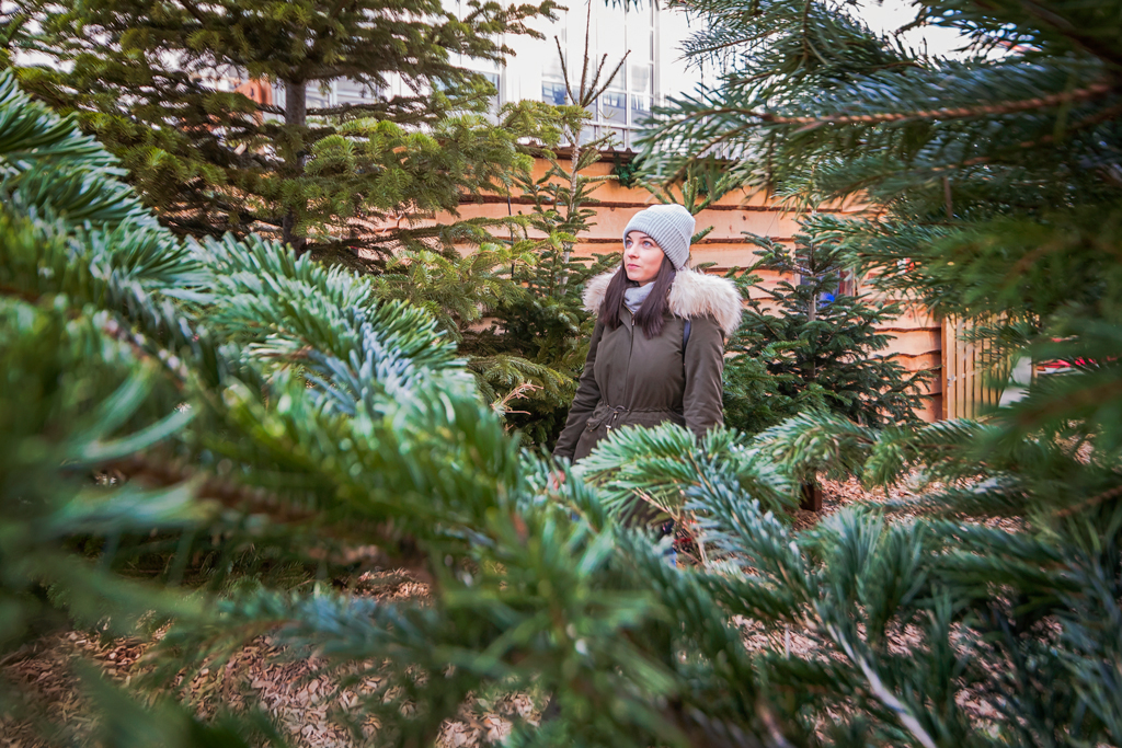 Немецкая симфония ужаса Немецкая симфония ужаса Германия