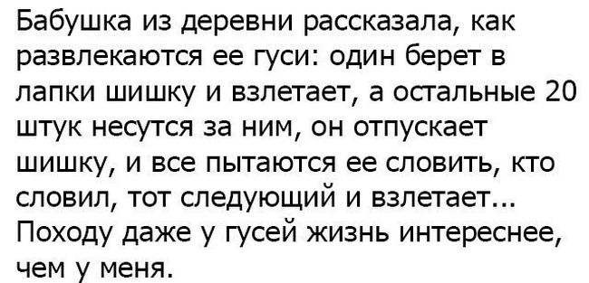 Веселые картинки с надписями для позитивных эмоций (11 фото)