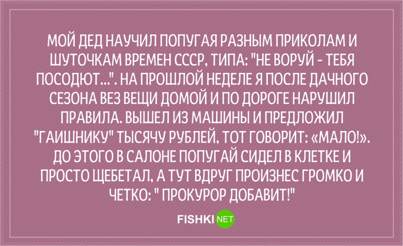 20 анекдотов о сотрудниках ГИБДД Анекдоты, гаи, гибдд