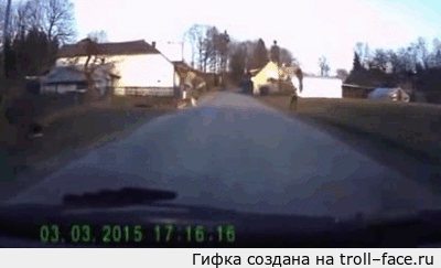 Подборка забавных и веселых гифок из нашей жизни Подборка забавных и веселых гифок из нашей жизни