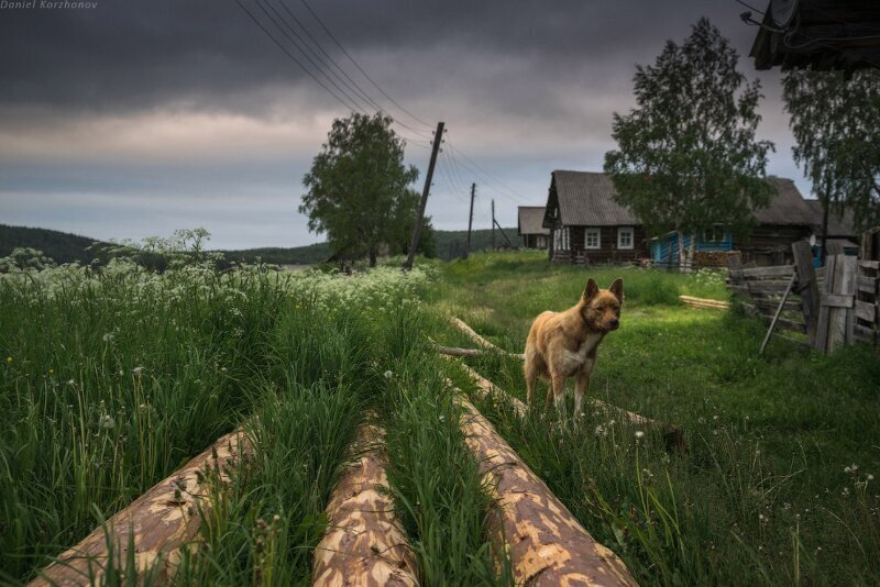 Тихий уголок благодати: Кенозеро, Архангельская область озера, Кенозера, снова, парка, Кенозере, землю, Здесь, очень, который, почти, через, словно, здесь, летних, лодку, стоит, Вершинино, когда, внутри, ветер