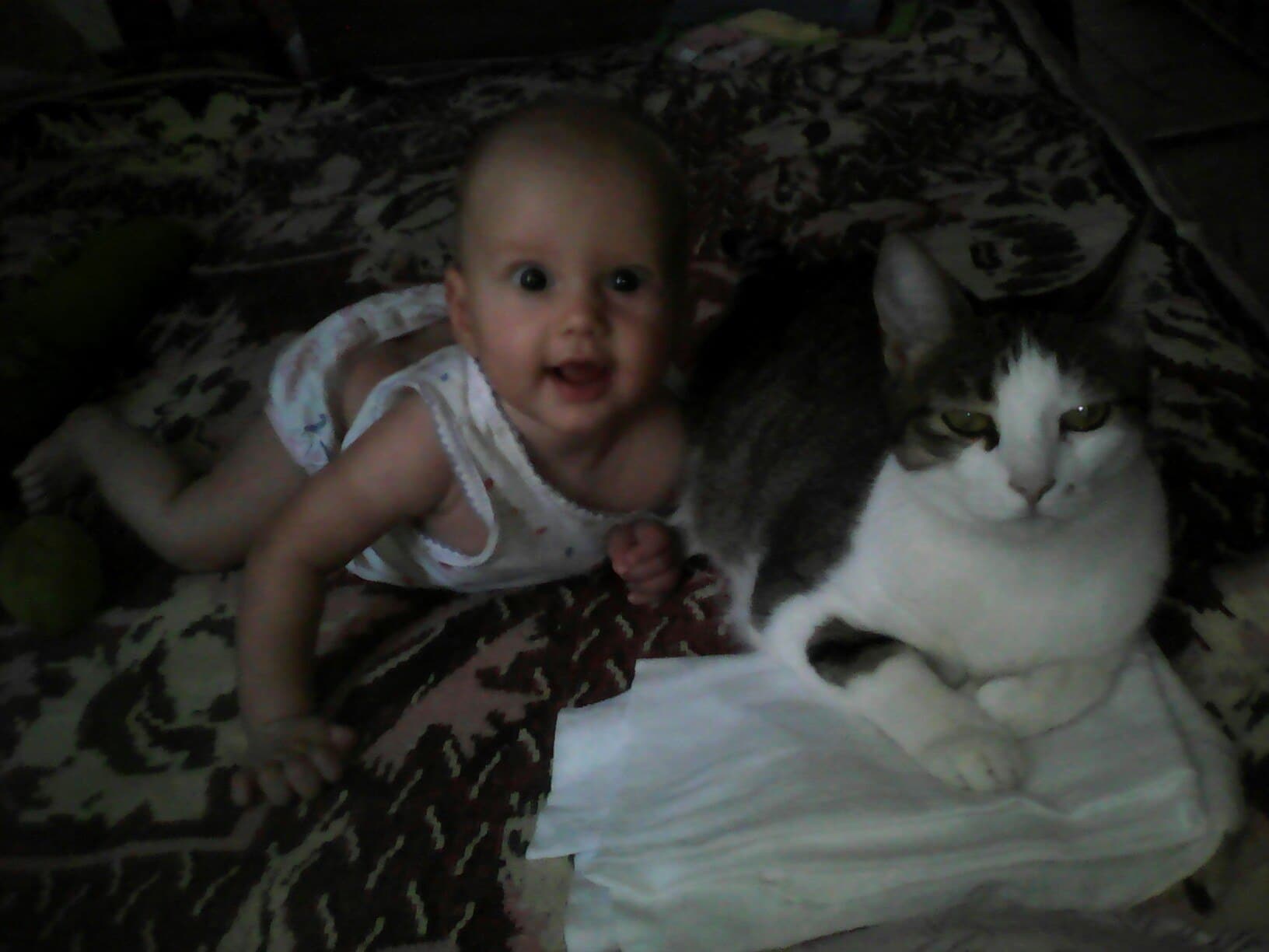 кошка с ребенком