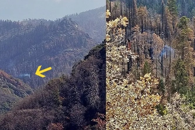Дерево продолжает дымиться после прошлогодних пожаров в Калифорнии
