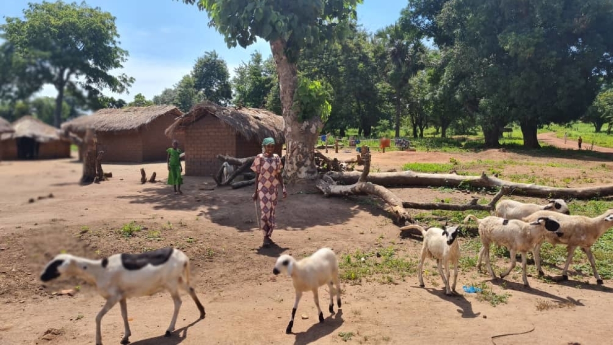 Мэр Бамбари посетил окрестности города и проверил уровень жизни населения ЦАР