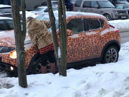 Прикольная подборка картинок и фото Прикольная подборка картинок и фото