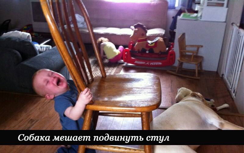 Почему плачут дети: эти 14 смешных причин знакомы каждому родителю Почему плачут дети: эти 14 смешных причин знакомы каждому родителю дети