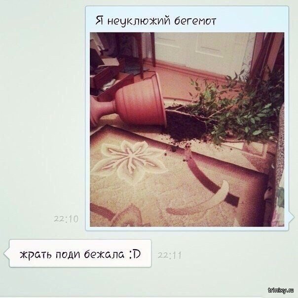 Комментарии и юмор с просторов сети  смешные картинки