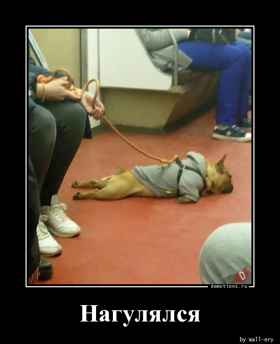 Демотиваторов свежая порция: «Приличные дети…» Демотиваторов свежая порция: «Приличные дети…»