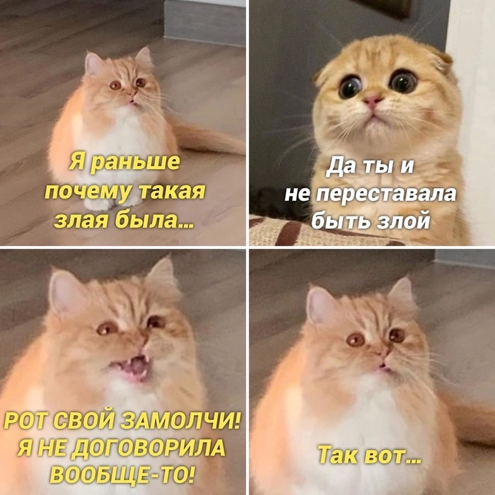 Анекдоты недели и планы на деньги Анекдоты недели и планы на деньги