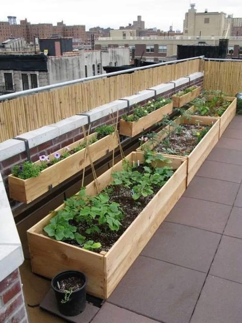 Оптимальный вариант для небольшого балкона: размещение растений на перилах в специальных подвесных горшках Оптимальный вариант для небольшого балкона: размещение растений на перилах в специальных подвесных горшках для дома и дачи,идеи и вдохновение