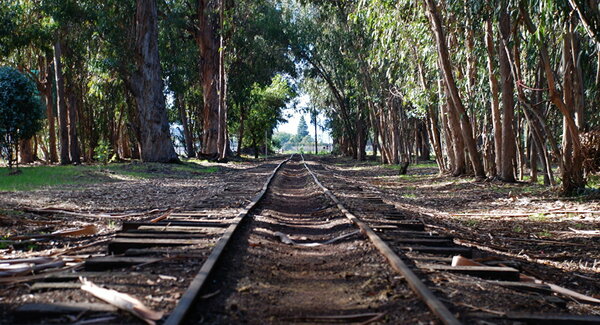 Обмыл диплом, или Почему я не пью больше 10 лет Обмыл диплом, или Почему я не пью больше 10 лет