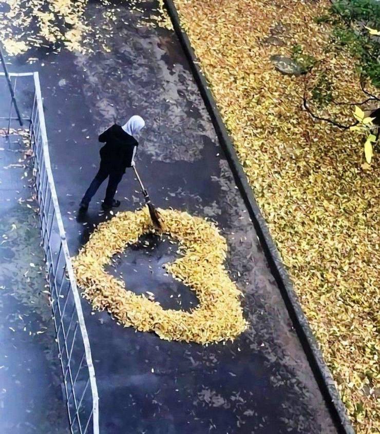 Подборка картинок. Вечерний выпуск  приколы,смешные картинки,юмор