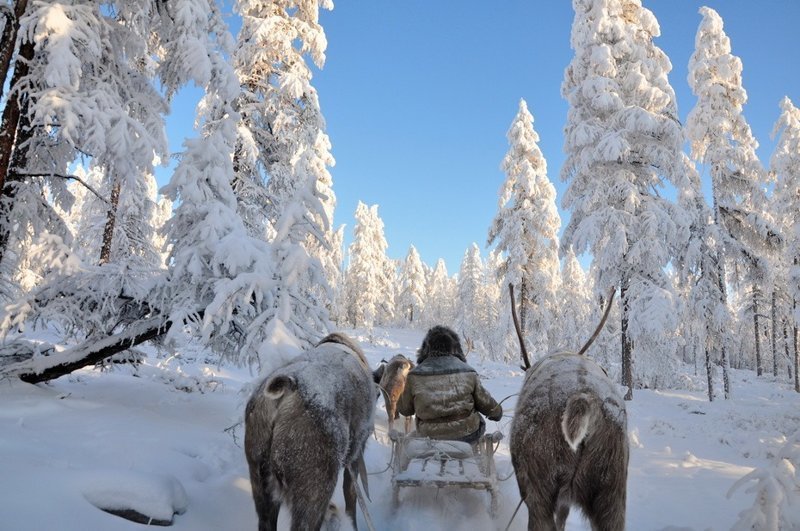 Оймякон: как живется в самом холодном месте России Оймякон, зима, интересное, полюс холода, якутия