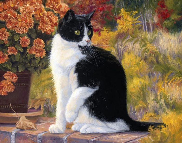 Художник Lucie Bilodeau. Пушистый живой генератор уюта