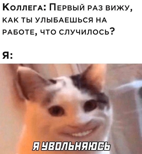 Смешные картинки про работу, жизнь и верное решение 