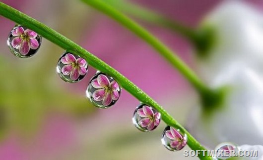 Фотографии на которые придется взглянуть дважды 