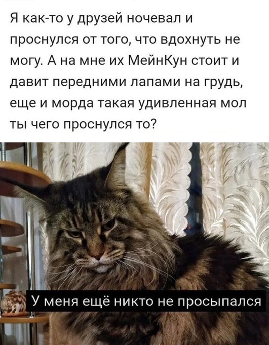 Если кого-то боги хотят наказать, то дают тому серьёзности больше, чем ума Если кого-то боги хотят наказать, то дают тому серьёзности больше, чем ума