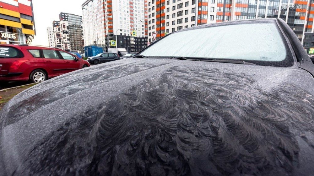 Заморозки в Петербурге: ФАН публикует фото утреннего города