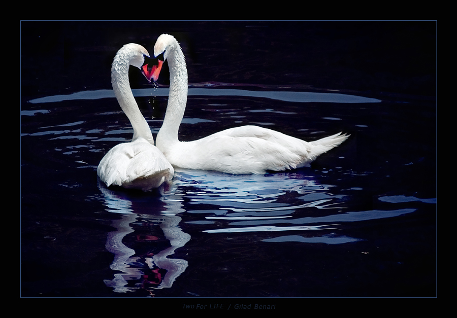 Фотография: Без фотошопа (часть 2) №24 - BigPicture.ru