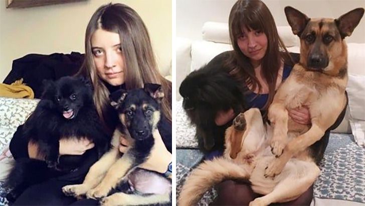 Любителям собакенов: большие собаки созданы для людей с огромным сердцем 