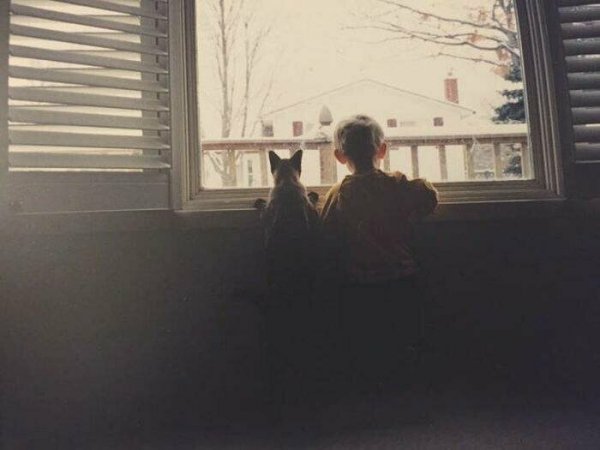 О дружбе О дружбе