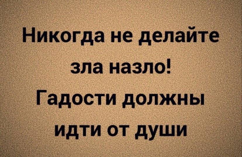 Поднимаем настроение на весь день! Поднимаем настроение на весь день!
