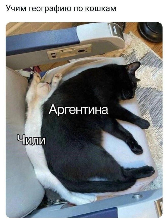 Смешные картинки с надписями и вегетарианские креветки 