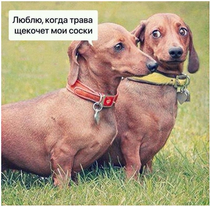 Миллионы людей, мечтающих о бессмертии, не знают, что им делать в среду вечером... Миллионы людей, мечтающих о бессмертии, не знают, что им делать в среду вечером...