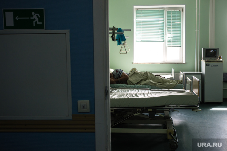 В Кремле высказались об идее разрешить эвтаназию в России