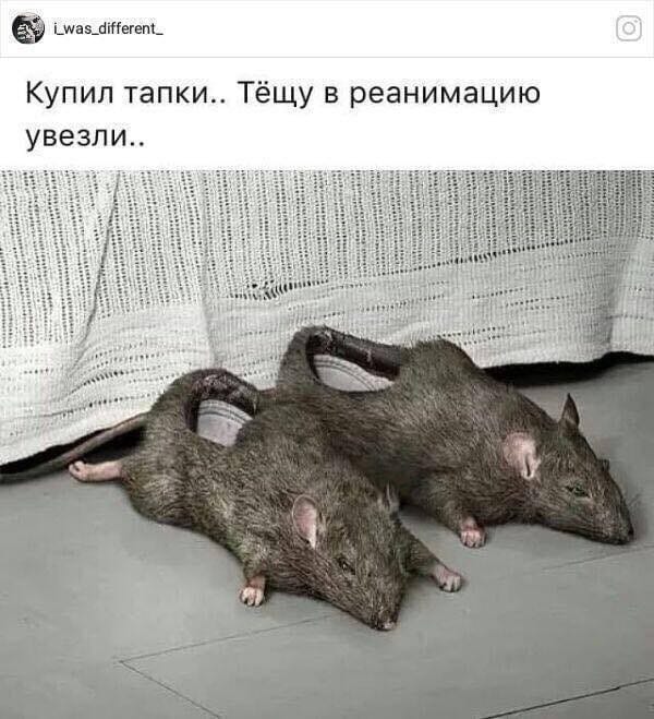 Мужик приходит в ресторан и говорит официанту