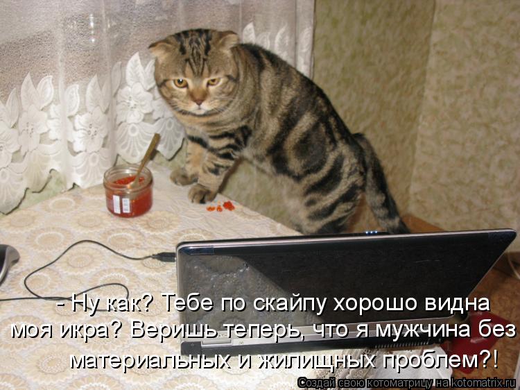 - Ну как? Тебе по скайпу хорошо видна  моя икра? Веришь теперь, что я 