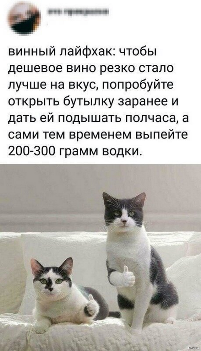 100% приколы, от которых болит живот. Вот это кайф! смешные картинки