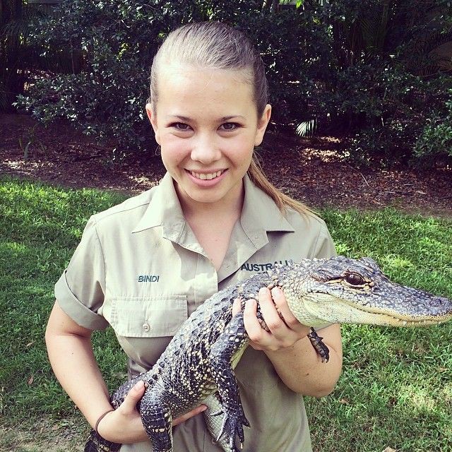 Дочь охотника на крокодилов — жизнь Бинди Ирвин Бинди Ирвин, животные