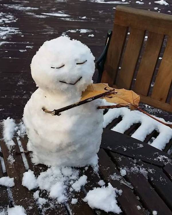 Подборка прикольных картинок  приколы,смешные картинки,юмор