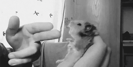Веселые и позитивные гифки на выходные
