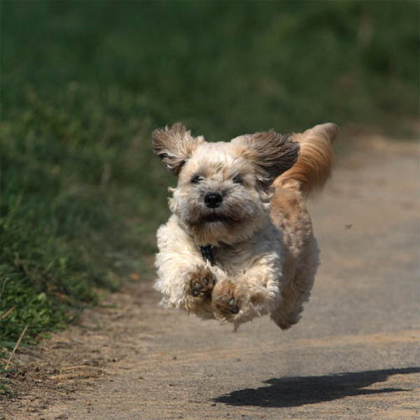 Фотография: Без фотошопа (часть 3) №17 - BigPicture.ru