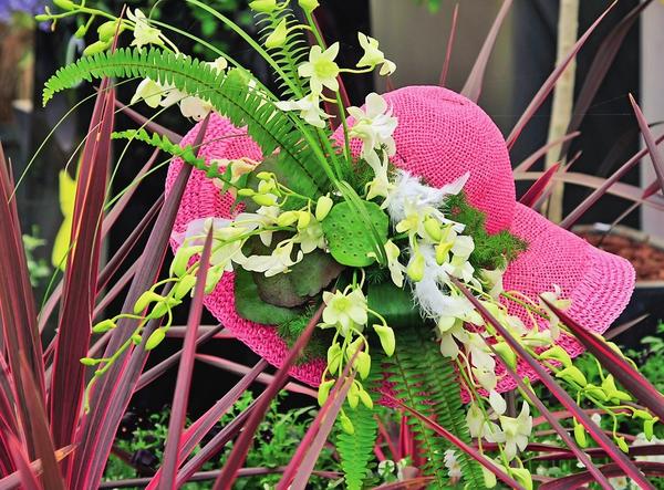 Романтичная и яркая шляпка может превратиться в оригинальный садовый аксессуар, если подобрать ей достойное обрамление.