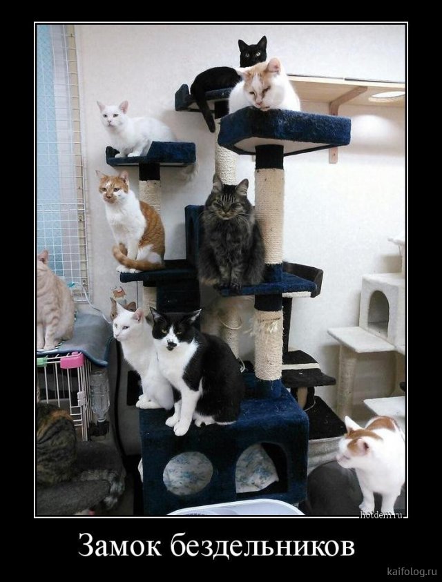 Как боролись со скукой наши родители, до того как изобрели Интернет? Как боролись со скукой наши родители, до того как изобрели Интернет? веселье,демотиваторы,истории из жизни,приколы,смех,юмор