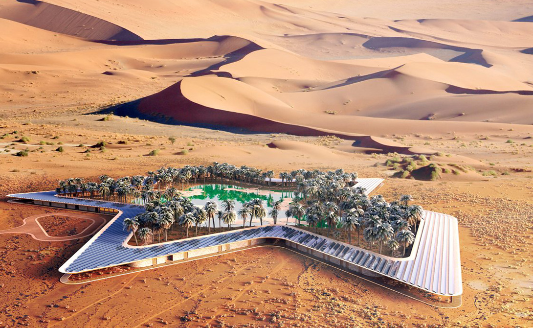 Пустынное чудо: самая зеленая точка планеты появится в Абу-Даби