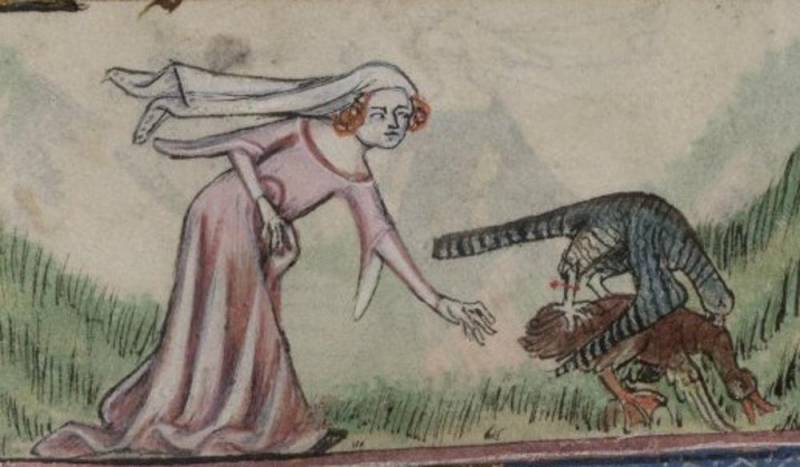 Иллюстрированная повесть об охоте знатных дам из средневекового замка Иллюстрированная повесть об охоте знатных дам из средневекового замка история