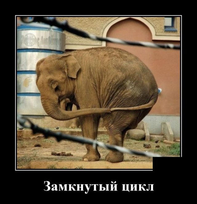 Самые улётные демотиваторы дня 