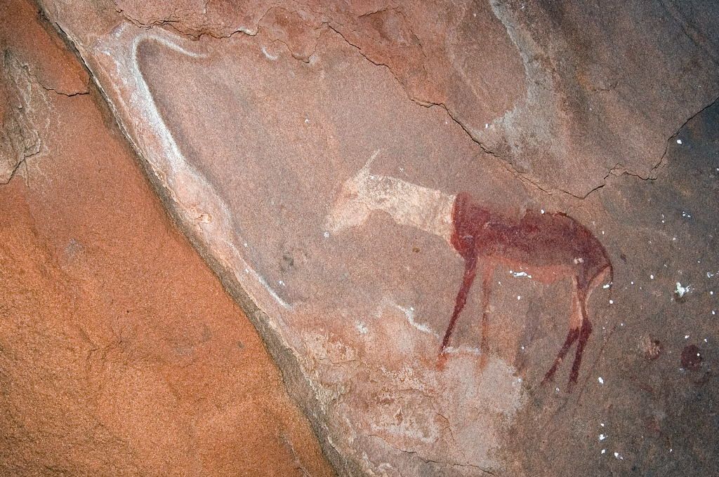 Национальный парк Берег скелетов в Намибии (Skeleton Coast Park)